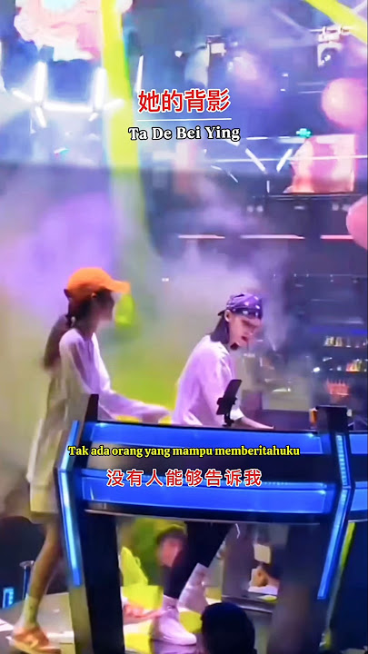 她的背影 DJ Ta De Bei Ying ( Bayangan Punggungnya ) #jo_han2011 #mandarinsong #foryou #remix