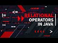 Relational Operators in Java Language Urdu/Hindi