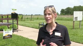 News Now to Go: June 19