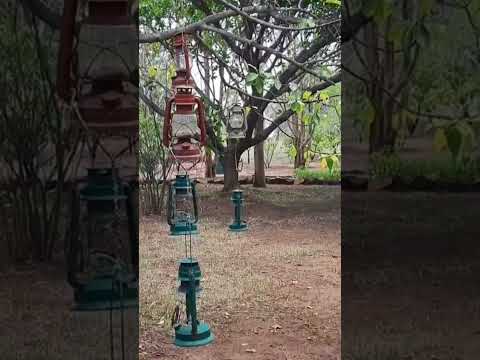 My Grandaughter Is A Little Helper With Cooking Food Indianfood