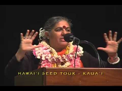 seeds hawaii music seeds hawaii music