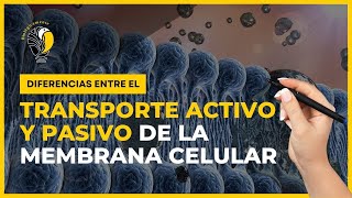 ACTIVE and PASSIVE TRANSPORT of the cell membrane 🔥 🔥 🔥