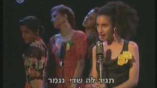 Video thumbnail of "צעירי תל אביב הלוואי שתפסיק"