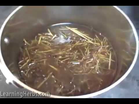 Homemade Herbal Cough Syrup with Wild Choke Cherry Bark