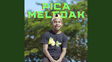 PICA MELEDAK