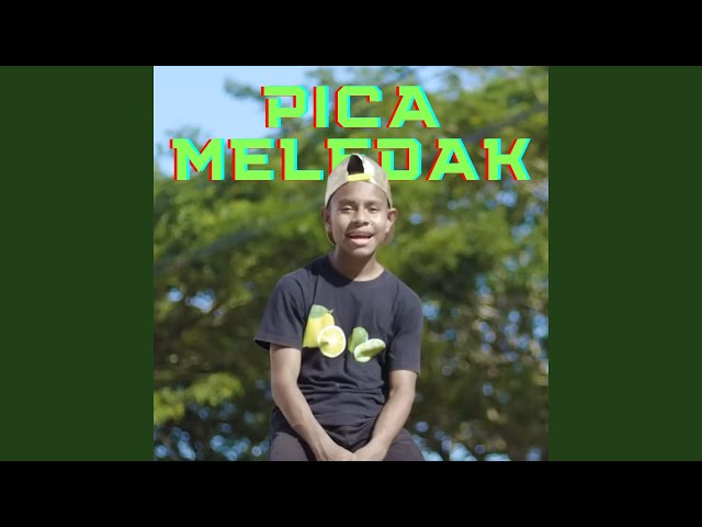 PICA MELEDAK class=