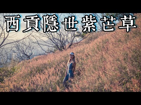 【香港攝影好去處】尋找西貢紫芒田｜欣賞9件獨特藝術品｜Sai Kung Hoi Arts Festival ｜Ft.@Rubys426