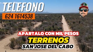 TERRENOS EN SAN JOSE DEL CABO B.C.SUR APARTALO CON SOLO MIL PESOS by Explorando con Sergio Vazquez 853 views 1 month ago 3 minutes, 22 seconds