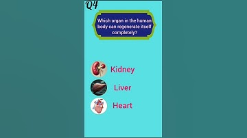 Top 4 quize education question video #quiz brain test #quiz #generalknowledge #shorts