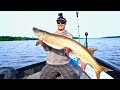 First CAST And Hooks A MUSKY Huge Fifty Plus Incher Five Fish Day First CAST And Hooks A MUSKY Huge Fifty Plus Incher Five Fish Day