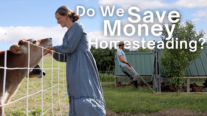 How much we spend on our 5 Acre Homestead!