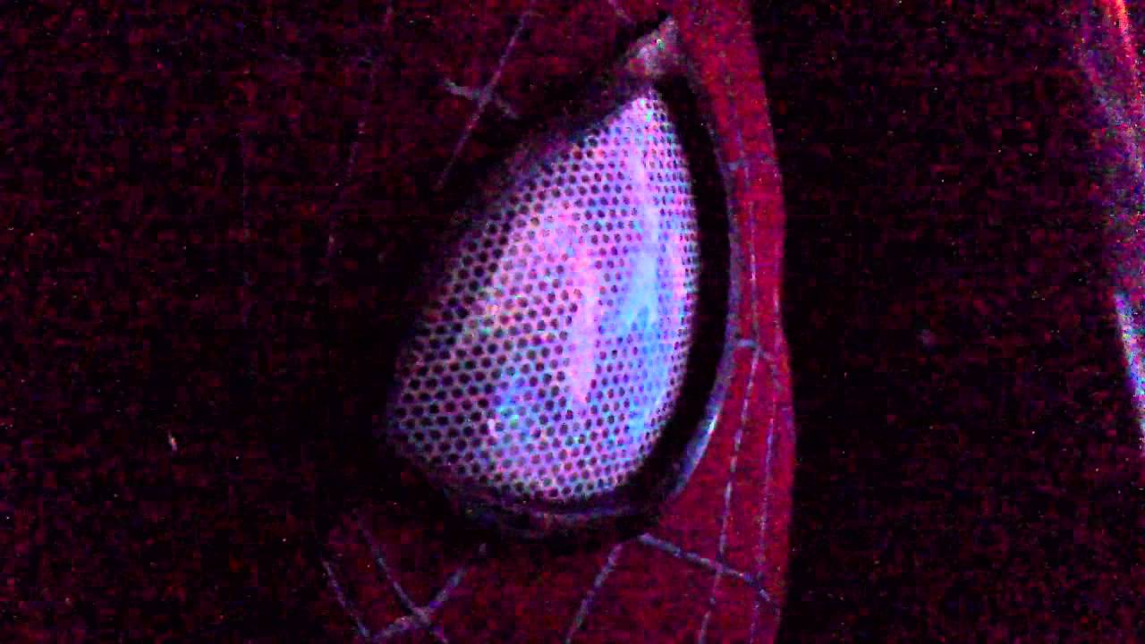 The amazing spiderman 2 lenses.