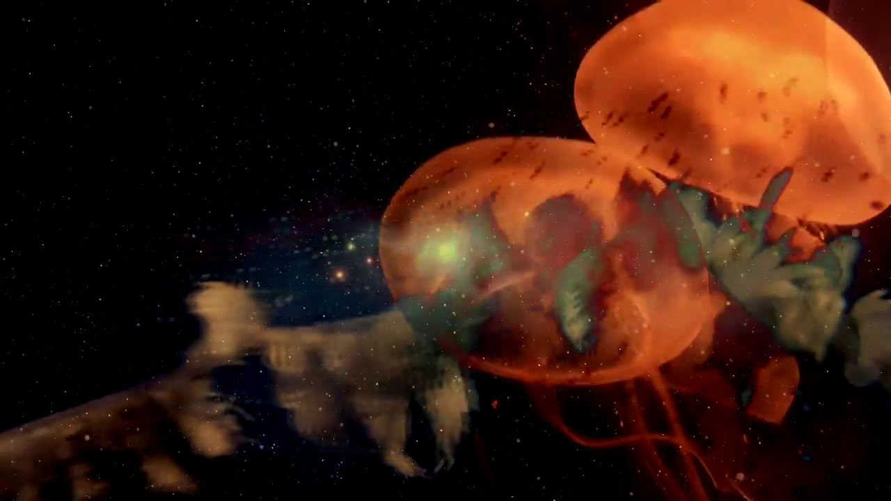 Alien Pimp & Datacode - Life Forms (Free Download + Free Stems + Remix Contest) adlı videoyu YouTube'da izle Alien Pimp & Datacode - Life Forms (Free Download + Free Stems + Remix Contest) adlı videoyu YouTube'da izle