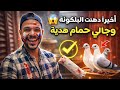 أخيرا دهنت سلاكة الحمام والمفاجأة جالي حمام هدية 