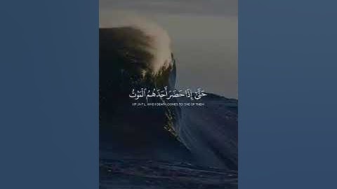 تلاوة خاشعة للشيخ ياسر الدوسري 🍂#like #اكسبلور #القرآن_الكريم #explore #تلاوة_خاشعة