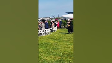 Thumbnail of Beautiful bride walking down the aisle Movie Theme Song Concerning Hobbit #bride #wedding #music
