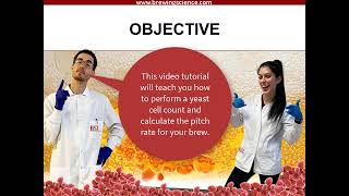 Beer Yeast Cell Counting