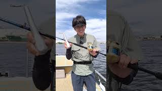 【実験動画】海明vsミッドゲーム巻上実験