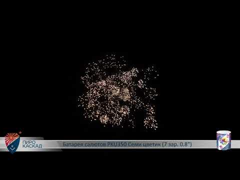 Видео: Батарея салютов Семи цветик (7/0,8) PKU350