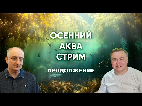 Видео: Осенний стрим по аквариумистике с Александром Ершовым. Продолжение