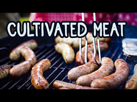 Video: Test Tube Cutlet. Does 