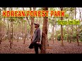 TAWI-TAWI RUBBER PLANTATION (Known as Korean Forest in Bongao) || Tawi-Tawi, Philippines