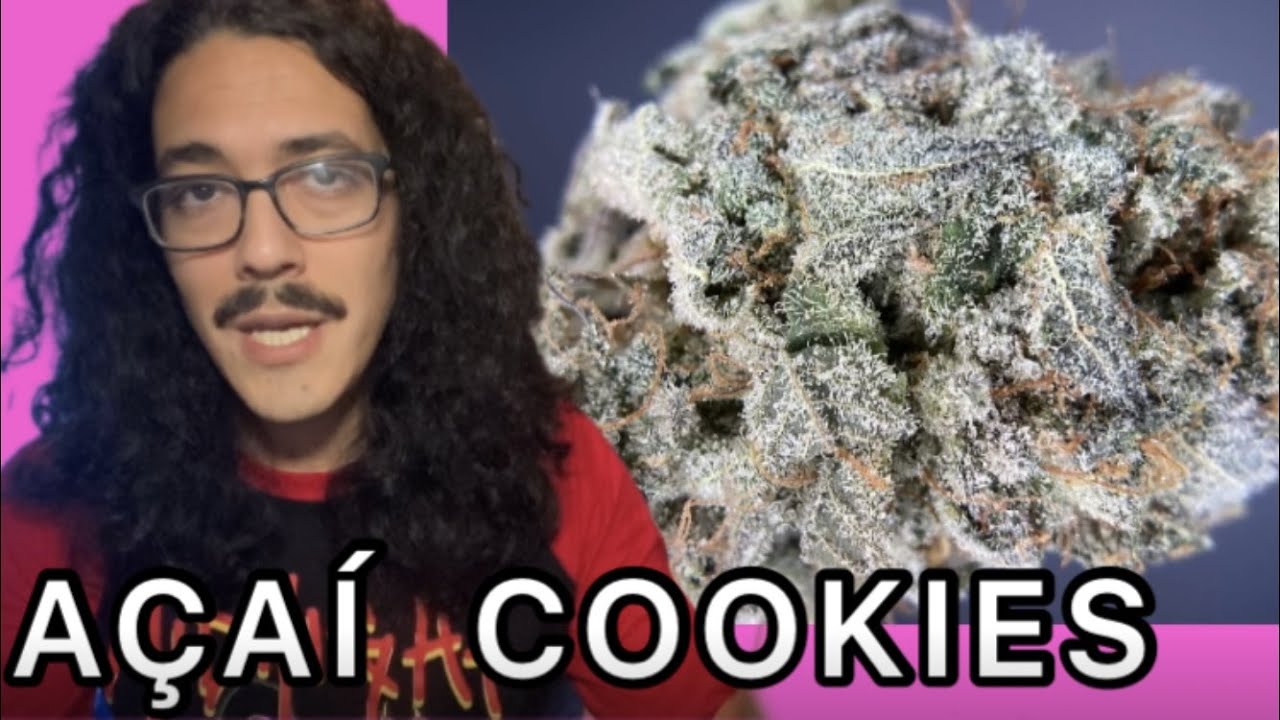 ACAI COOKIES WEED REVIEW (TIKI MADMAN) HOME GROW