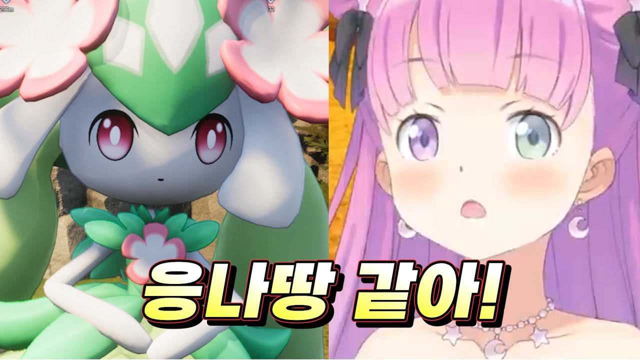 응나 닮은꼴 포ㅋㅔ.....팰