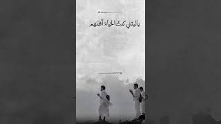 قصيدة مبكية لرجل لم يذهب للحج || لبيك حُبَّاً يا إلهي ..  أداء ||  منصور السالمي ||