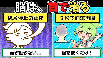 【警告】首は絶対揉むな。３秒で脳の血流をドバドバ流す「物理ハック」【ずんだもん＆ゆっくり解説】