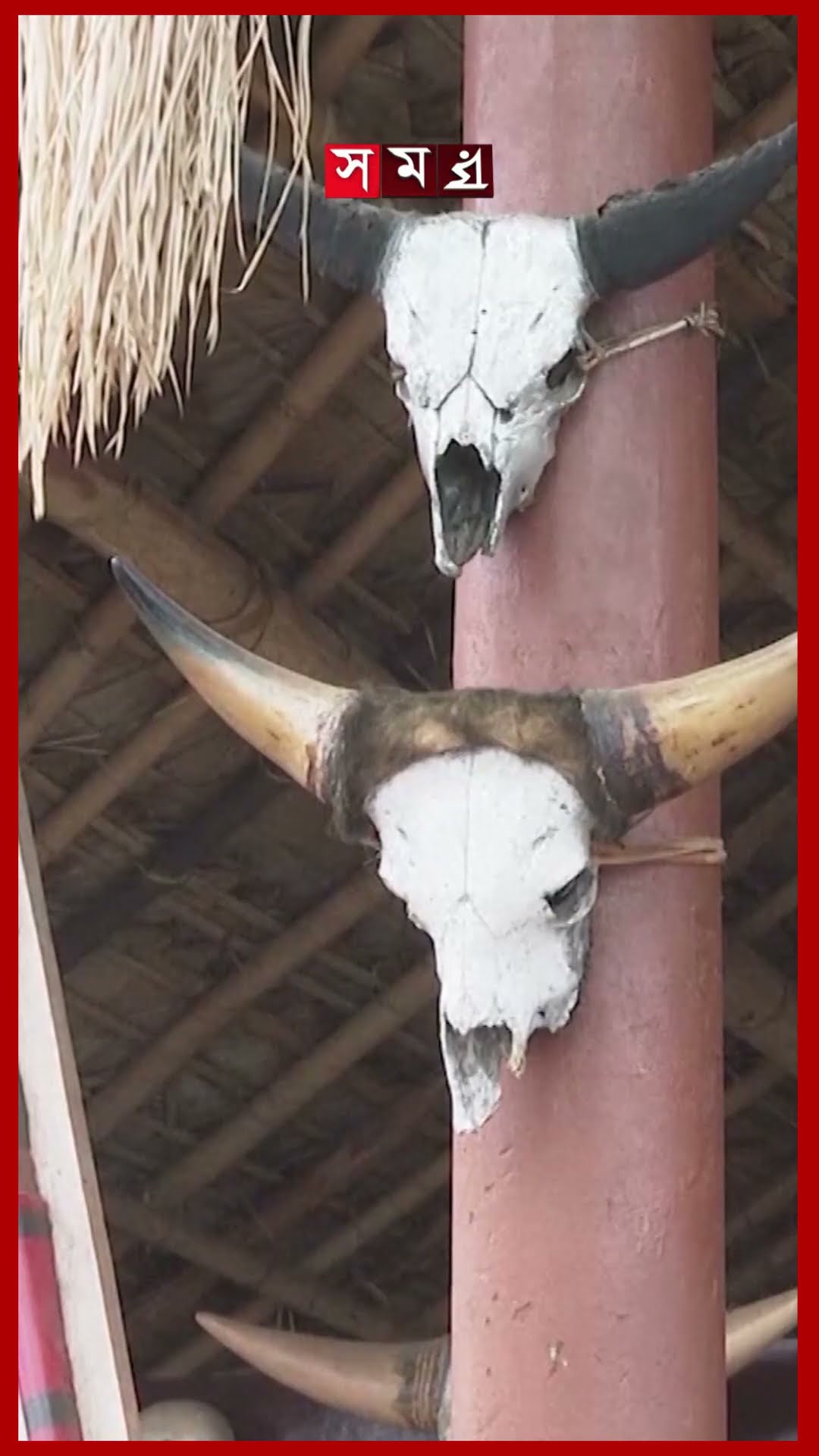 ভারতের মিয়ানমার সীমান্তে ঐতিহ্যবাহী হর্নবিল উৎসব #hornbillfestival #nagaland #kohima #somoytv