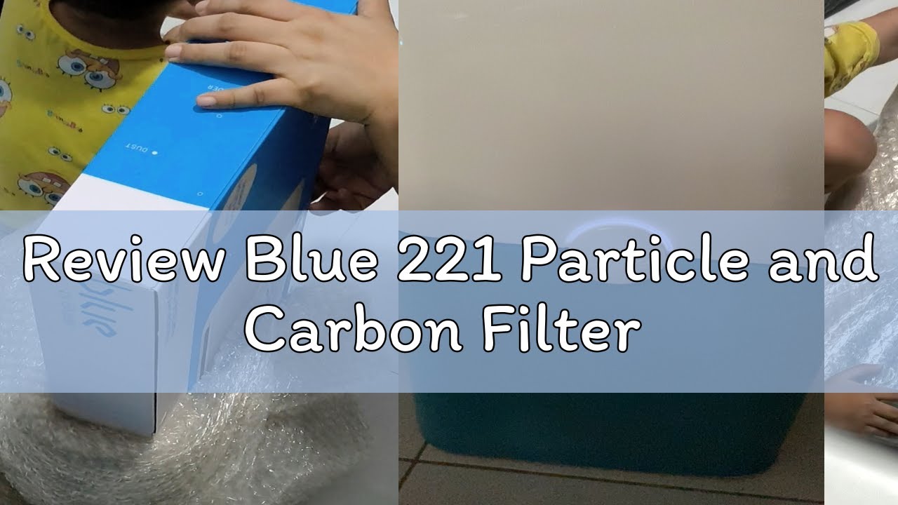 Review Blue 221 Particle and Carbon Filter