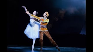 Staatsballett Berlin: La Bayadère - Petipa and Ratmansky (2018)