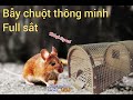 Làm bẫy chuột thông minh full sắt