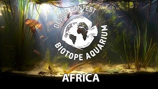 Africa. TOP 20 Biotope Aquaria