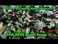 Aroid greenhouses tpie 2024 booth setup  tropical plant international expo highlights