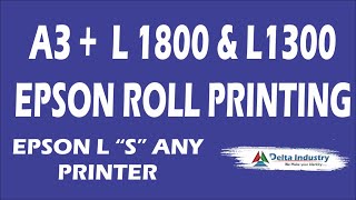 Epson L1800 Roll to Roll Printing Software