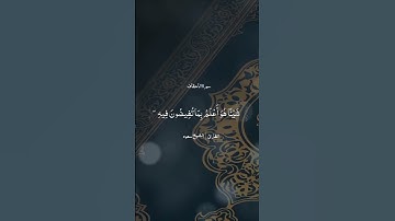 سورة الأحقاف | الشيخ سعود الماهر #تلاوة_القرآن #اكسبلور #تلاوة_خاشعة #التأمل #explore