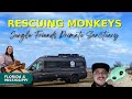 Rescuing monkeys  jungle friends primate sanctuary  van life s2 e9