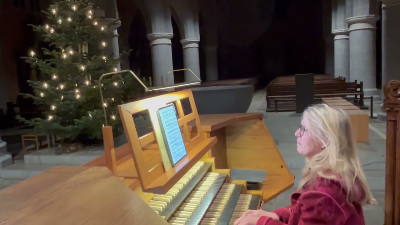 „Weihnachten“ von Max Reger - an der Rieger-Orgel der Abtei Marienstatt