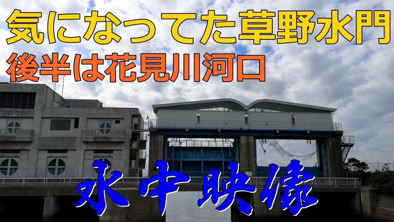 【2020年2月4日】検見川浜 草野水門、花見川河口にシーバス、クロダイはいるのか･･･。バチ抜け対策に根の確認も･･･!【水中映像】