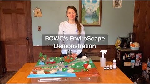 EnviroScape Demonstration