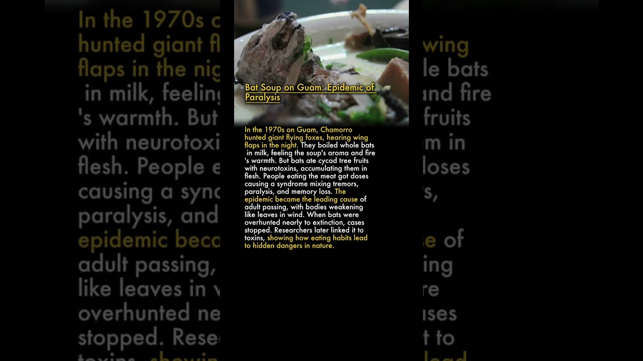 🦇 Bat Soup on Guam: Epidemic of Paralysis 🍲