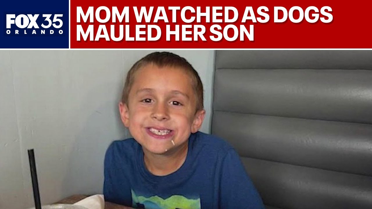 Mother of boy killed by dogs says she'll never forget the image of her son being mauled