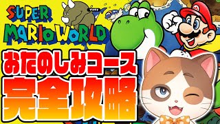 【縦型配信】ゲームオーバーで最初から！？最難関のスペシャルコースを残機5でクリアする！【スーパーマリオワールド】