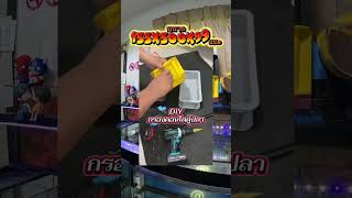 แนะนำ diy กรองคอนโด ตู้ปลาทอง