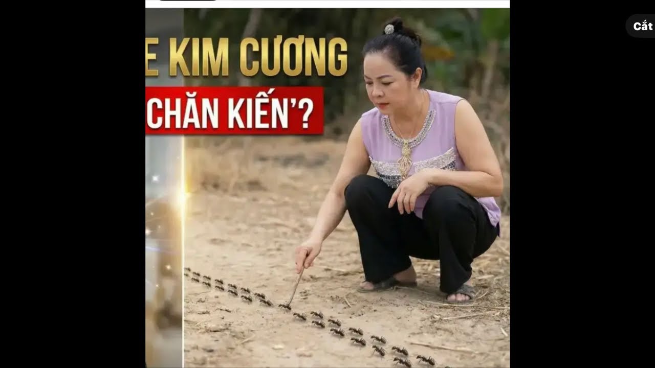 Hoàng Kim Dung Thề Sẽ Cho Tuyền Nổ Đi Tò?HKD có Bị Bắt Như Cuộn Con Nói Không?HKD lên chia sẽ