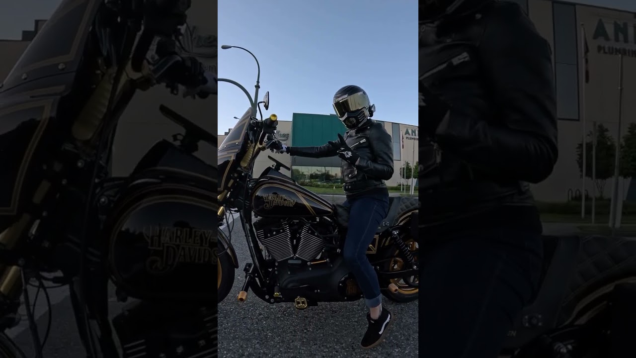 Melissa’s Dyna Low Rider S  