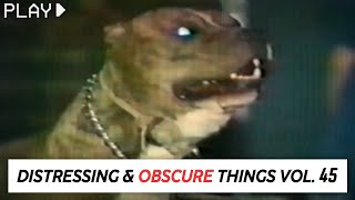 Disturbing Things From our World [Vol. 45] Net Worth