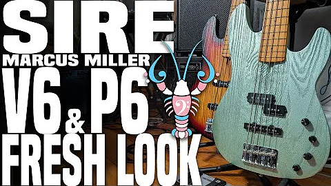 Sire V6 & P6 Fresh Look - New LIGHTWEIGHT & Sandblasted Basses - LowEndLobster Fresh Look